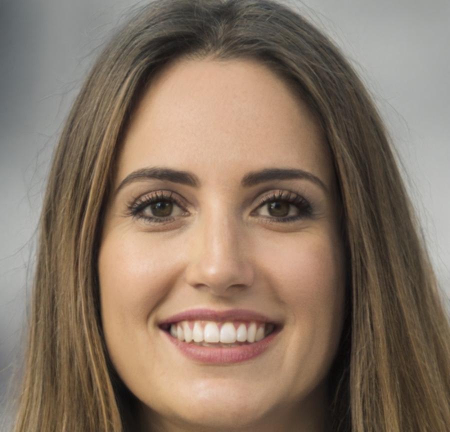 Svenja Holmqvist, Analystin für Finanzbetrug